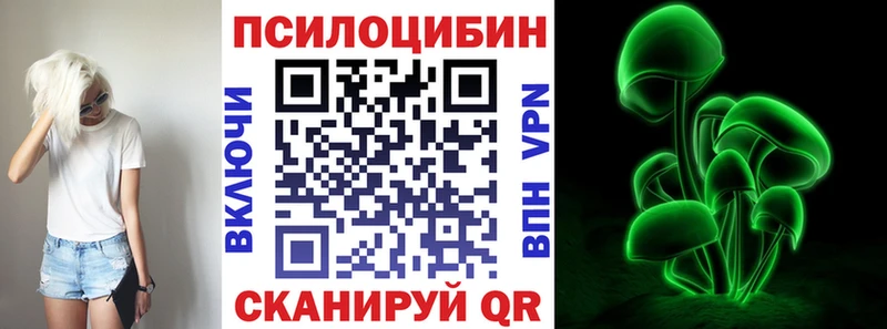 магазин    Клин  Галлюциногенные грибы Magic Shrooms 